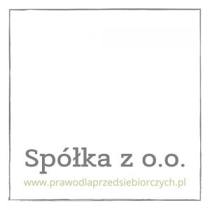 Read more about the article Zarząd spółki z o.o. – mój nowy blog!